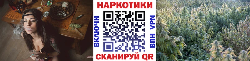 Наркотические вещества Каменногорск Гашиш Бошки Шишки Cocaine Меф