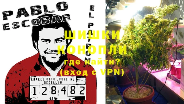 гидра Алексеевка