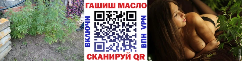 дарнет шоп Каменногорск ТГК концентрат