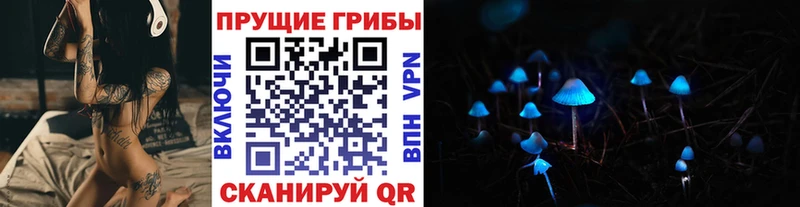 Галлюциногенные грибы Psilocybe  Каменногорск 